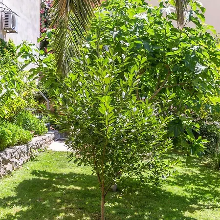 아파트 Apartman Mila 마카르스카